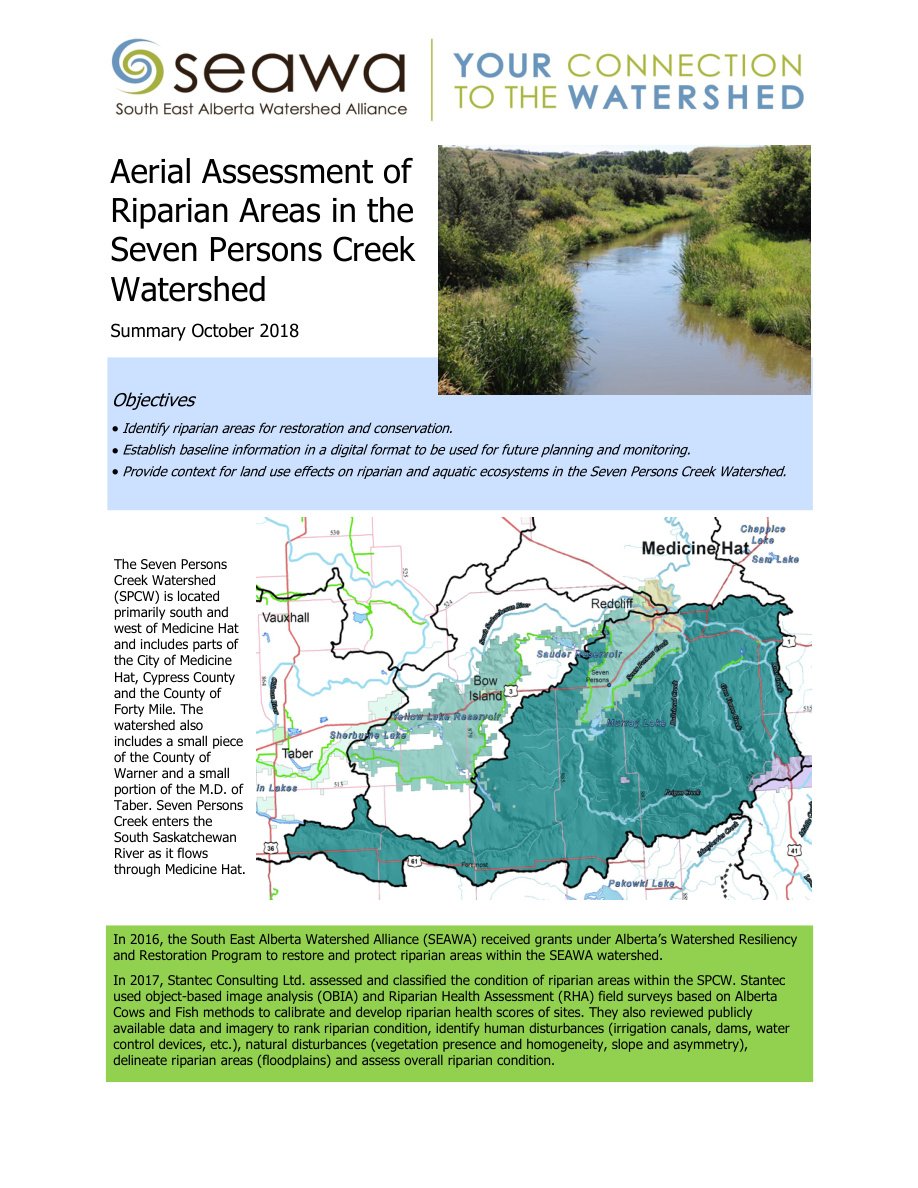Final For Print Seven Persons Summary