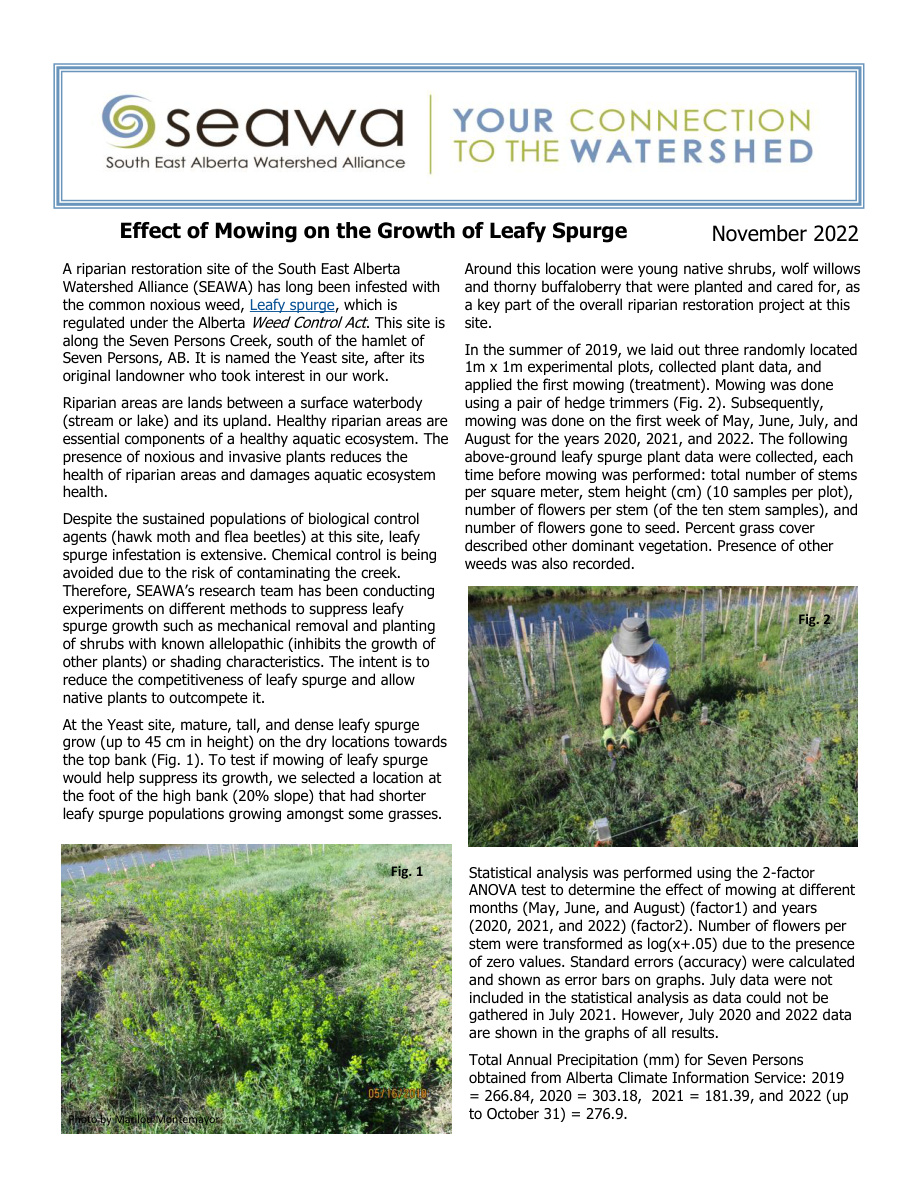 Mowing Leafy Spurge 2022